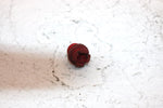 01 Honda Trx 500 Faa Fourtrax Forman Oem Adjusting Hole Plug 44602-HM5-A10 AH56