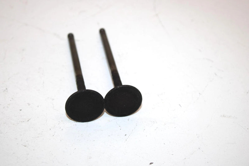 04 Polaris Sportsman 500 Oem Exhaust Valve Set 3085412 AP44