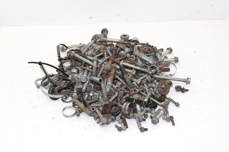 2004 Kawasaki Kfx 700 Oem Nut Bolt Spacer Hardware Kit AK30