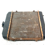 98-99 Arctic Cat 500 4X4 OEM Radiator 0413-001 AA38