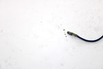 1976 Yamaha Gs340 Oem Tachometer Light 861-83536-40-00 SY71
