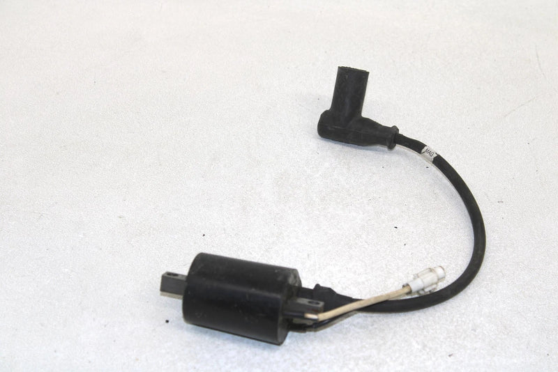 05 Polaris Rmk 900 Oem Ignition Coil MAG 4011105 SP178