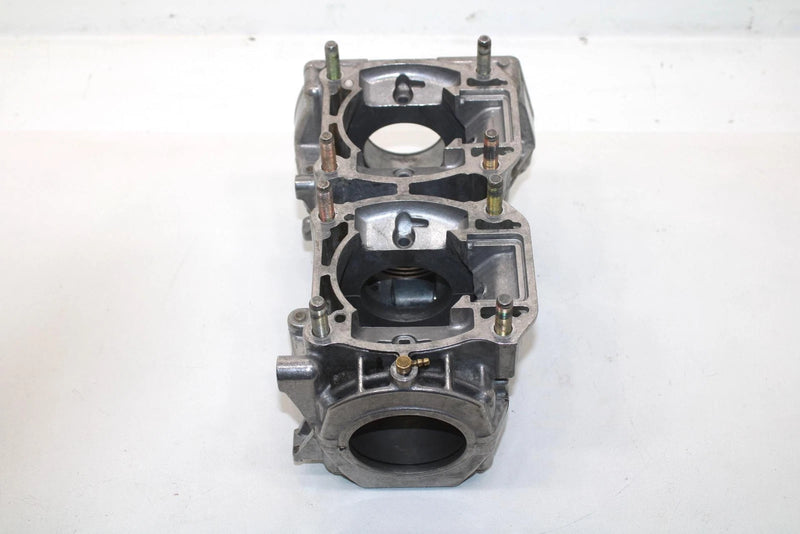 2004 Polaris 550 Classic Edge Oem Crankcase 3089225 SP215