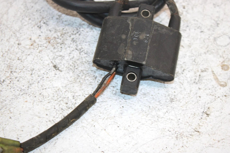 01 Arctic Cat Zl 550 Oem Ignition Coil 3005-409 SAS12