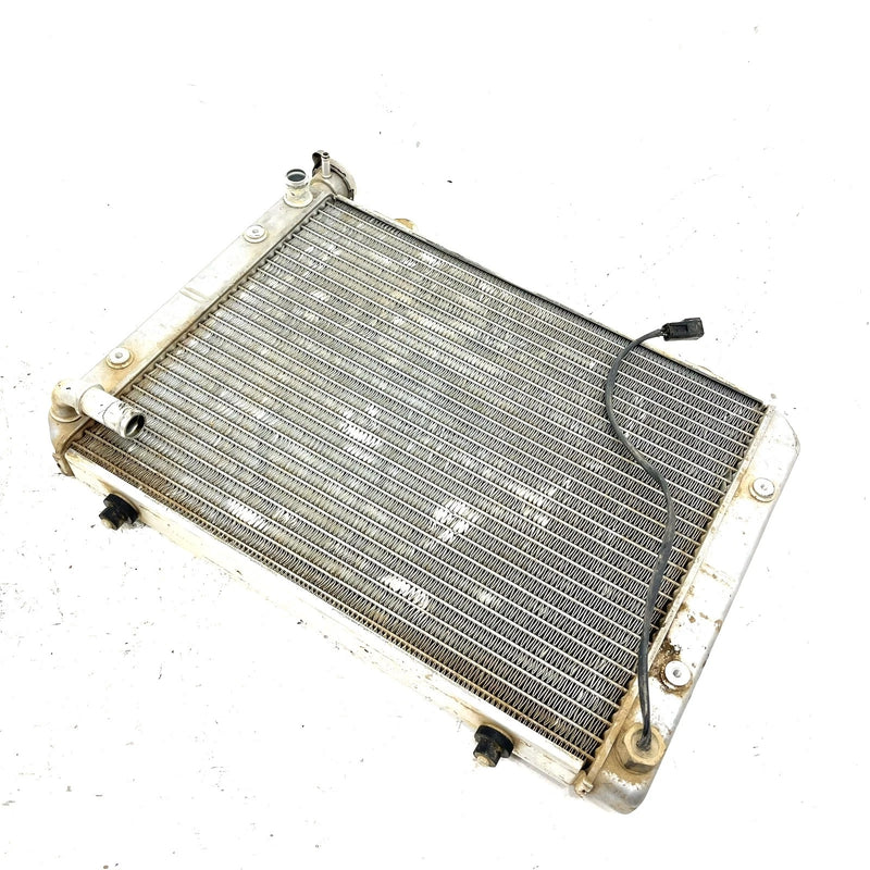 04-05 Polaris Ranger 500 4X4 OEM Radiator 1240459 XP9