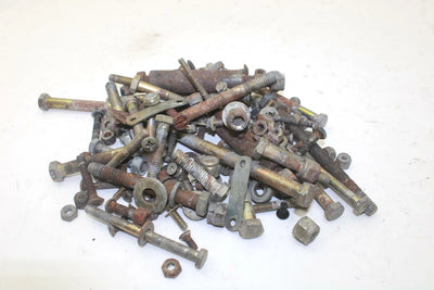 96 Arctic Cat EXT 580 EFI Mountain Cat OEM Bolts Nuts Washers Hardware Kit SA84
