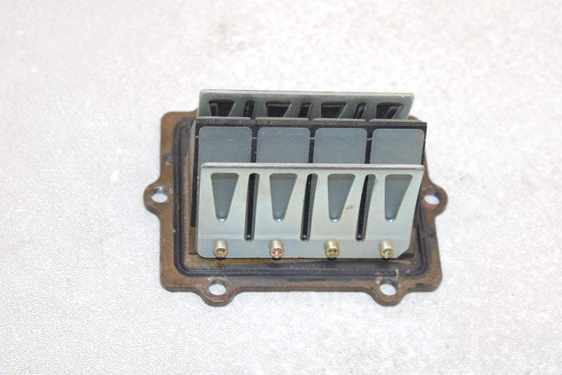 Polaris Oem Intake Reed Valve 1201831 Q1168