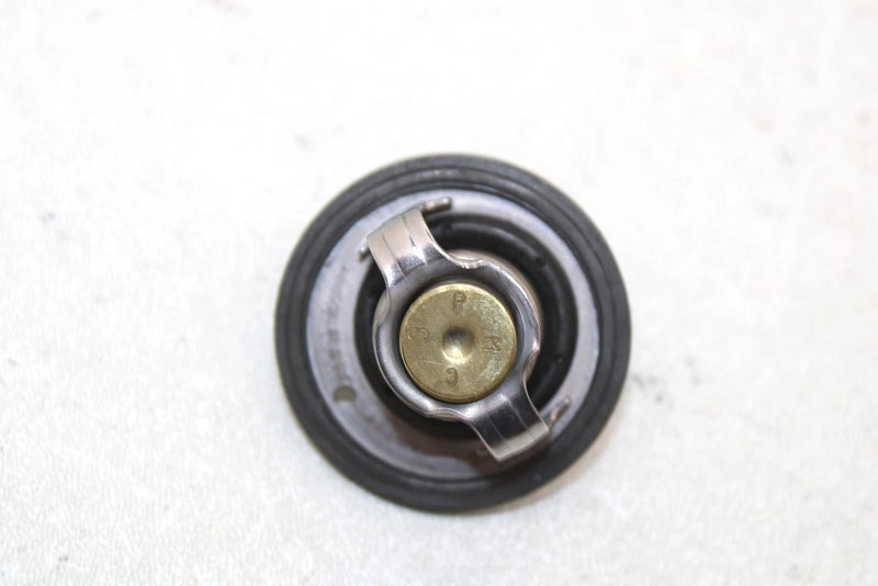 2005 Polaris Predator 500 Oem Thermostat 3088028 AP3