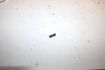 02 Arctic Cat Zr 440 Sno Pro Oem Exhaust Power Valve Spring 3006-325 SAS14