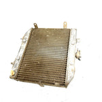 02 Honda Foreman Rubicon 500 TRX500 4x4 OEM Radiator Assembly 19010-HN2-505 AH85