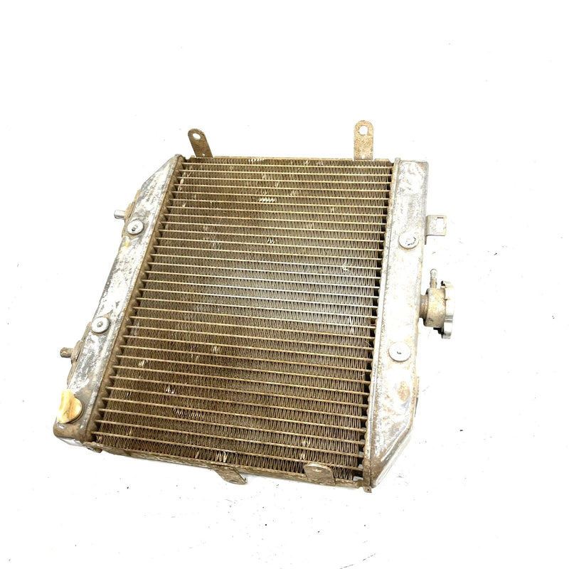 02 Honda Foreman Rubicon 500 TRX500 4x4 OEM Radiator Assembly 19010-HN2-505 AH85