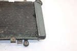 99 Kawasaki Prairie 400 4x4 Oem Radiator 39060-1150 AK16