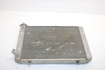 2006 Polaris Ranger Xp 700 Oem Radiator 1240211 1240286 XP3