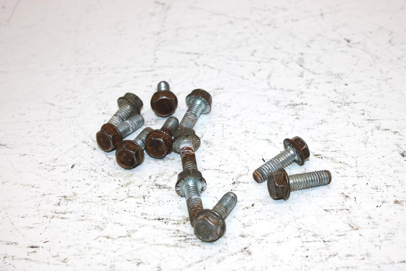 2002 Polaris Sportsman 700 Oem Bolt Set Of 11 3233955 AP184
