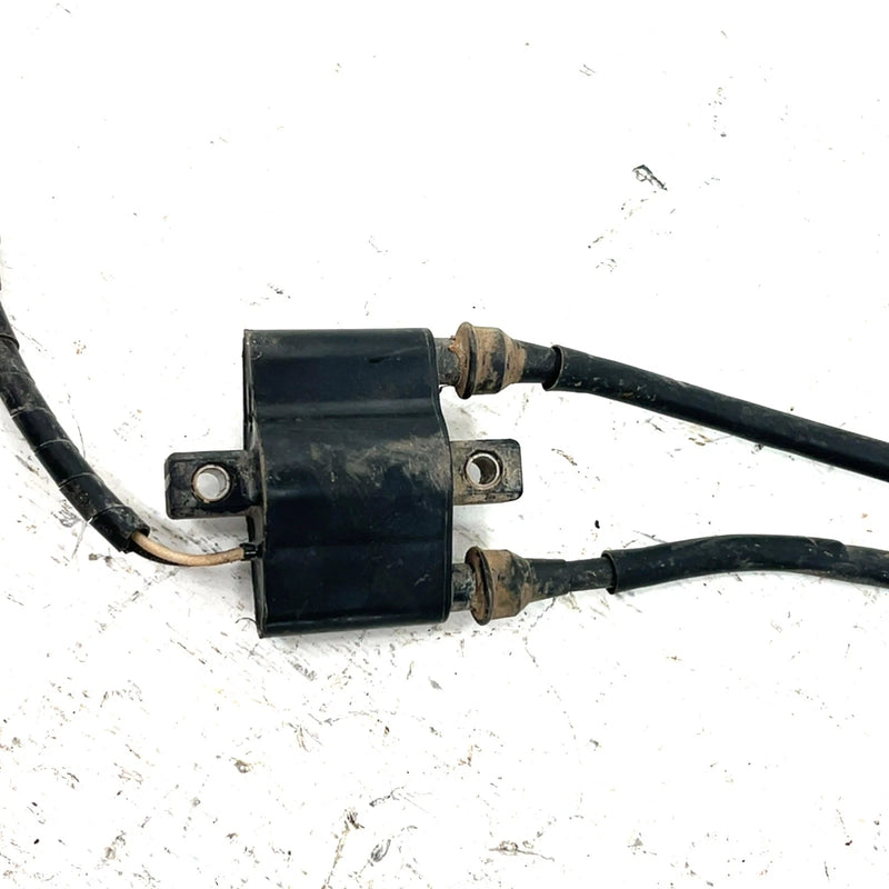 04-06 Polaris Sportsman 700 OEM Ignition Coil 4010898 AP219