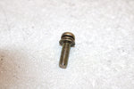 97 Polaris Sport Oem Oil Pump Screw And Washer 3083783 SP167