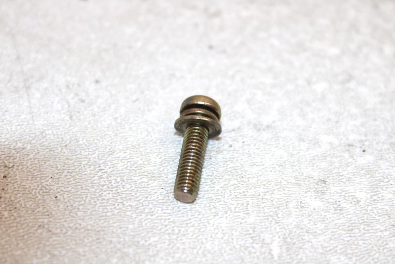 97 Polaris Sport Oem Oil Pump Screw And Washer 3083783 SP167