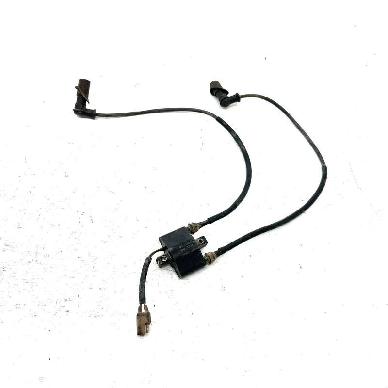 04-06 Polaris Sportsman 700 OEM Ignition Coil 4010898 AP219