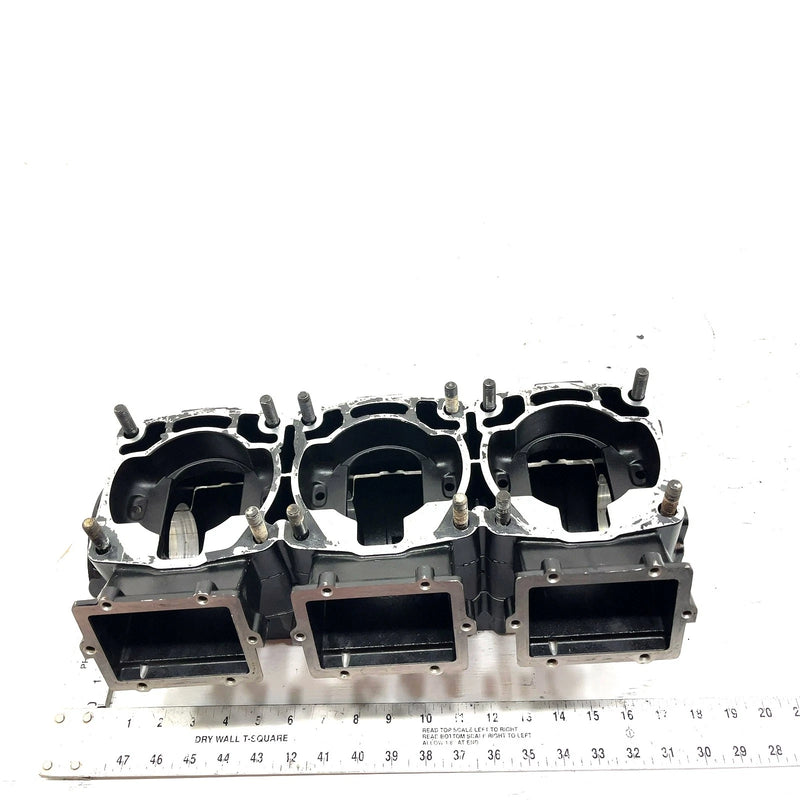 2000 Polaris Genesis FFI OEM Crankcase 2201562 JP51