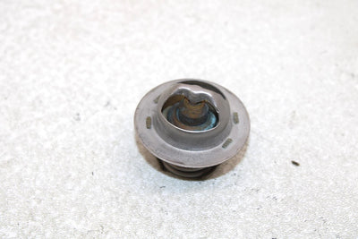 10 Polaris Fst Iq Touring Oem Thermostat 0454114 SP194