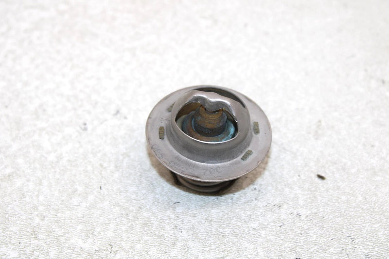 10 Polaris Fst Iq Touring Oem Thermostat 0454114 SP194