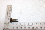 1999 Kawasaki Prarie 400 Oem Swing Arm Pivot Bolt 33032-1034 AK28