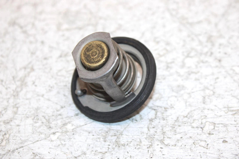 2002 Honda Foreman Rubicon 500 Oem Thermostat 19300-HN2-003 AH53