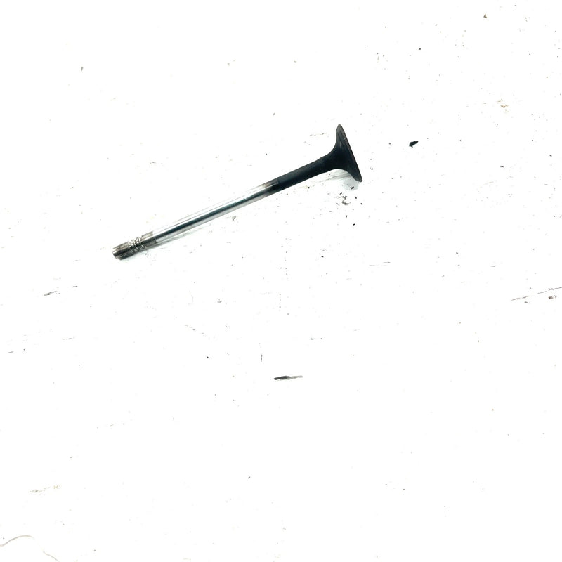 03-04 Polaris Sportsman 600 OEM Exhaust Valve 5133141 AP234