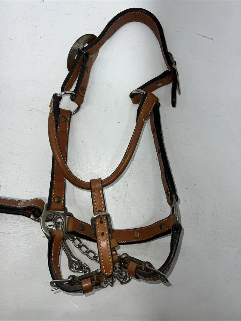 New Light Oil Genuine Leather Show Halter With Lead Rope Silver Accents W-22