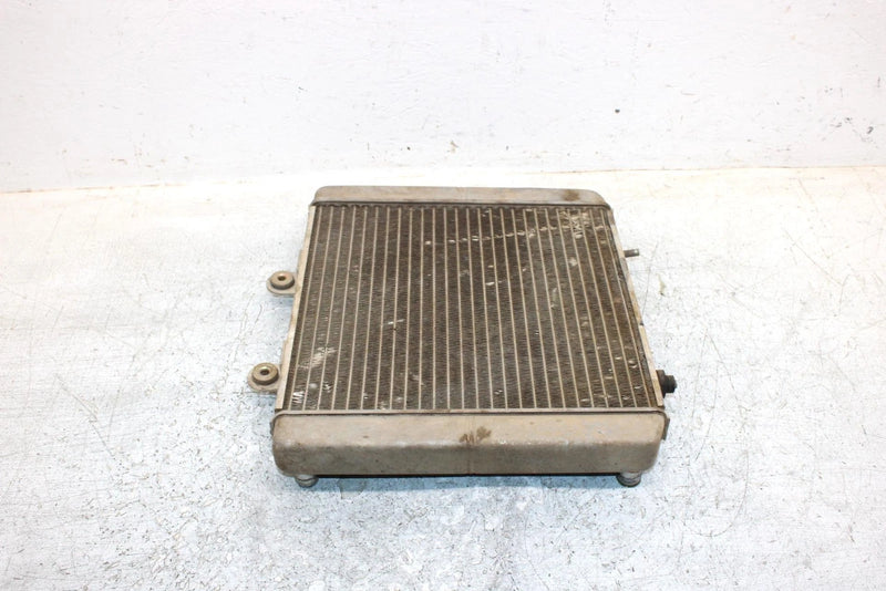2006 Polaris Sportsman 500 Oem Radiater 1240152 1241477 AP186
