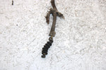 1998 Polaris Xplorer 300 Oem Throttle Cable 7080615 AP180