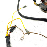 89-99 Polaris Trail Boss 250 4X4 OEM Stator 3083979 AP231