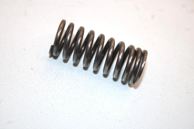 04 Honda Trx250ex A Oem Inner Valve Spring 14761-HN6-000 AHS