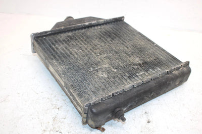 1996 Polaris Magnum Oem Radiator And Screen 5431610 1240015 AP152