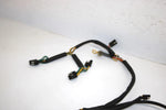 01 Arctic Cat Mountain Cat 600 Efi Oem Main Wire Harness 0686-694 SAS2