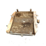 01-04 Honda Foreman Rubicon 500 TRX500FA 4x4 OEM Radiator  19010-HN2-505 AH86