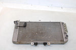 2006 Polaris Outlaw 500 Oem Radiator 1240222 2203783 AP4