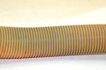 1996 Sea-doo Gsx Oem Oil Fill Hose 275000188 JS14