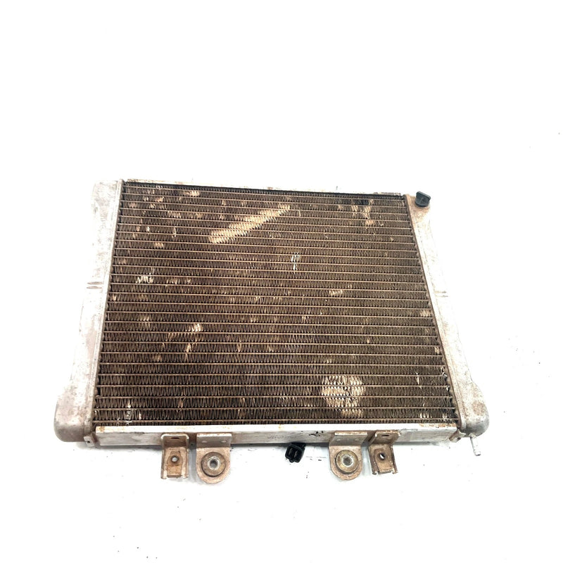 03-04 Polaris Sportsman 600 OEM Radiator 4010161 AP234