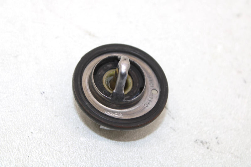 2005 Polaris Predator 500 Oem Thermostat 3088028 AP3