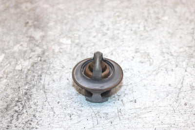 2019 Polaris Ranger 900 Xp Oem Thermostat 7052496 XP6.1