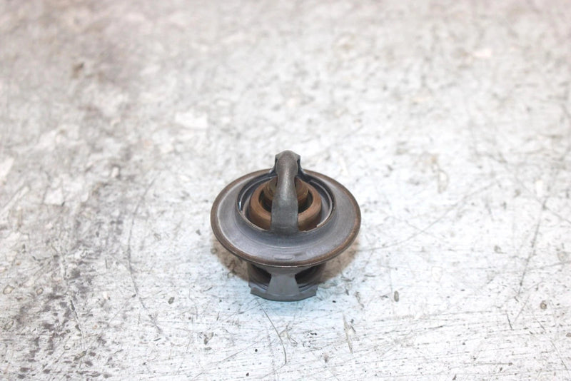 2019 Polaris Ranger 900 Xp Oem Thermostat 7052496 XP6.1