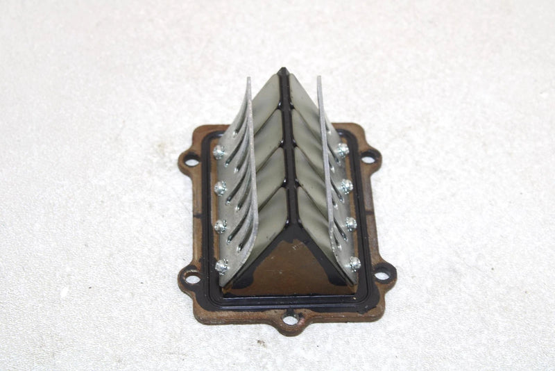 Polaris Oem Intake Reed Valve 1201843 Q1169