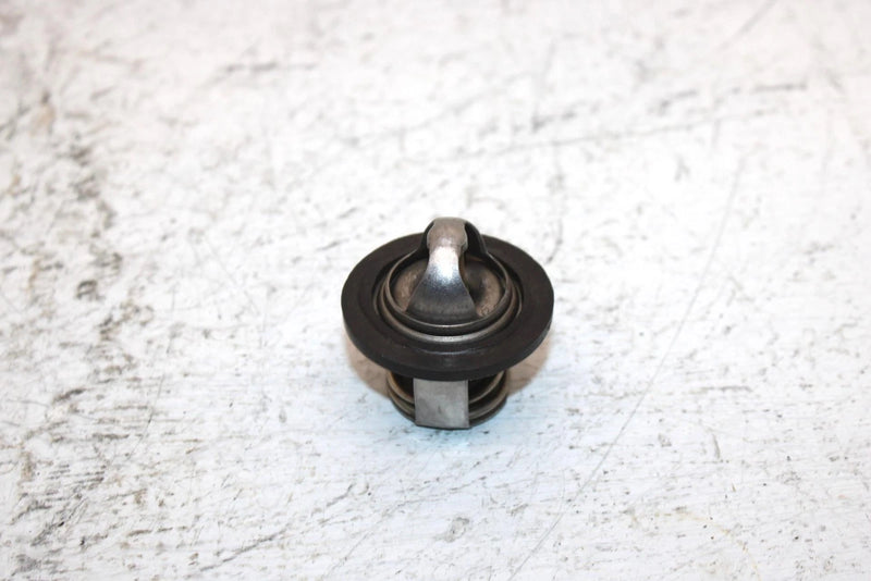 2002 Polaris Sportsman 700 Oem Thermostat 7052308 AP184