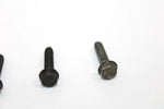 Ski-doo Oem Taping Screw M5x20 Set of 4 420841555 Q4353