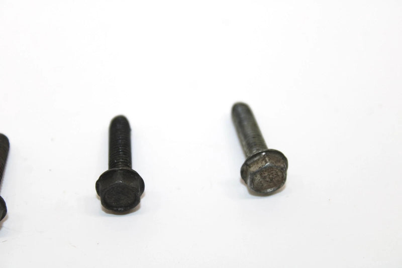 Ski-doo Oem Taping Screw M5x20 Set of 4 420841555 Q4353