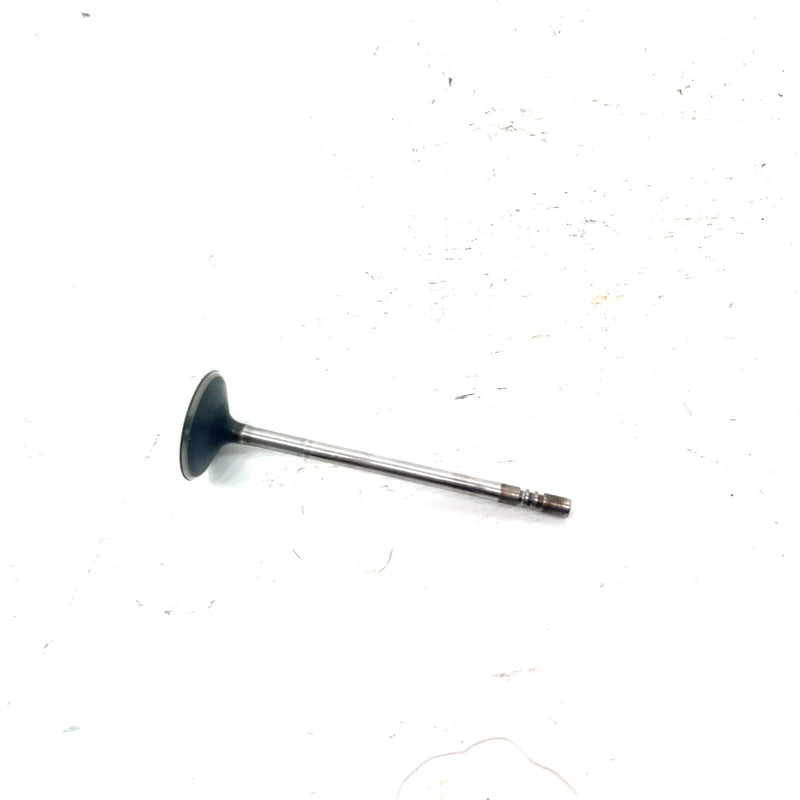 03-04 Polaris Sportsman 600 OEM Intake Valve 5131417 AP234