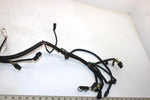 06 Arctic Cat Firecat 700  Efi Oem Main Wire Harness 1686-271 SAS5