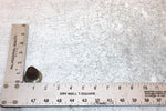 1993 Honda Trx 300 A Oem Left Swingarm Pivot Bolt 90122-HM5-930 Q1763