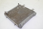 01 Polaris Sportsman 400 OEM Engine Radiator Cooler 1240533 AP113